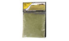 Fs619 Woodland Scenics Static Grass Light Green Keithstrains 724771006190