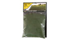 Fs621 Woodland Scenics Static Grass Dark Green Keithstrains 724771006213