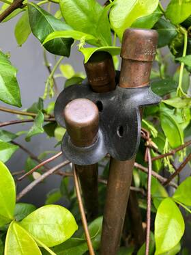 Gc-2006 Garden Things Plant Support Made Easy Stretch Rubber Stake Connecters 6-pack Model