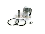 Boat Piston Assy Kit Ring Set 0391190 0386279 Johnson Evinrude Outboard 3/16". Fixed Price $43.91.