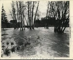 1930 Press Photo General View Of Spreading Flood Waters San Francisco. Fixed Price $24.99.