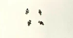 Lionel Nickel Handrail Stanchions Set = 4EA For Gauge & Standard New. Fixed Price $7.53.