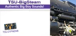 New Soundtraxx 884013 "big Steam" Tsunami TSU-21PNEM8 Decoder Function. Fixed Price $98.36.