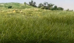 Woodland Scenics FS621 7MM Static Grass Dark Green. Fixed Price $5.39.